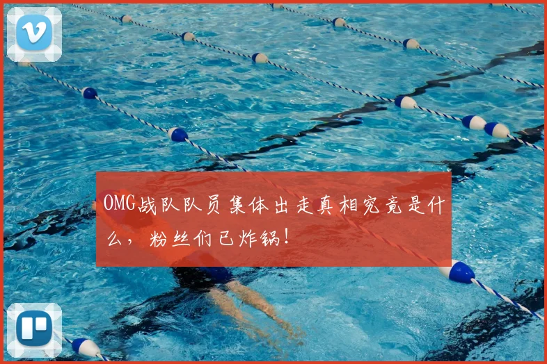 OMG战队队员集体出走真相究竟是什么，粉丝们已炸锅！