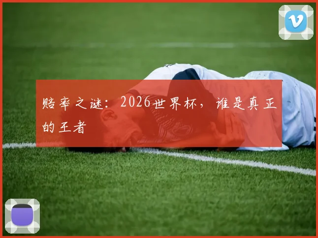 赔率之谜：2026世界杯，谁是真正的王者