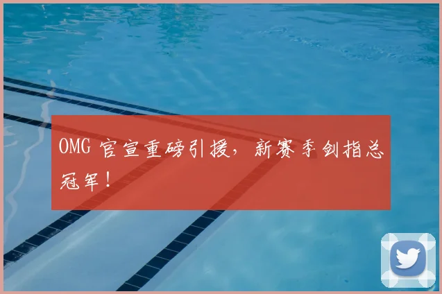 OMG 官宣重磅引援，新赛季剑指总冠军！