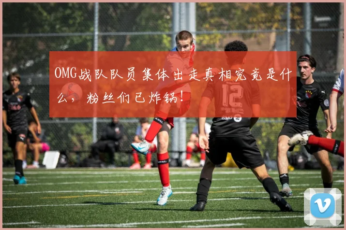 OMG战队队员集体出走真相究竟是什么,粉丝们已炸锅!