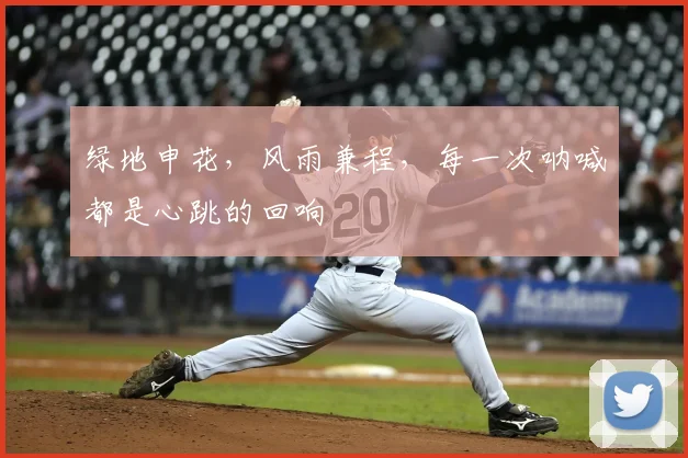 绿地申花，风雨兼程，每一次呐喊都是心跳的回响