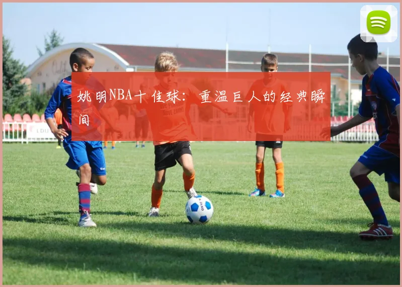 姚明NBA十佳球:重温巨人的经典瞬间